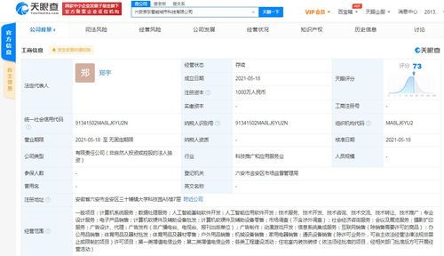 京東云計算拓展智能城市版圖，新設科技公司布局動漫游戲開發與系統集成