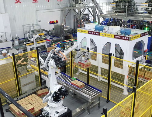 鹽津鋪子董事長張學武 以匠心與遠見，鑄就中國卓越食品制造企業(yè)